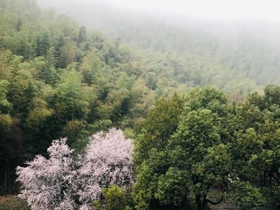 1657867630783263.jpg 333.jpg